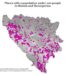 BiH prijeti demografski slom