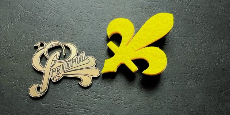 Preporod pod pritiskom: Simboli bošnjačkog identiteta zamijenjeni stranim obilježjima?