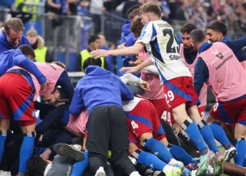 HSV izborio povratak u Bundesligu, na tribinama i klupska legenda Barbarez