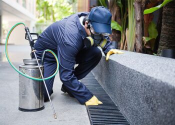 U Sarajevu niko ne kosi, niti vodu nosi: Deratizacija izostala dvije godine, a građani se sada suočavaju s posljedicama