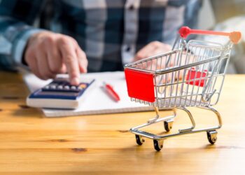 Sindikalna potrošačka korpa sve skuplja, a plate sve dalje od nje