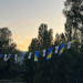 Nakon što su spaljene: U Livnu postavljene nove zastave Bosne i Hercegovine