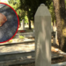 Vandalizirano mezarje u Mostaru: Svinjska glava u Liska haremu